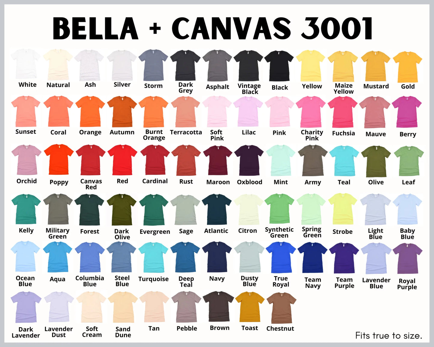 Bella + Canvas 3001 T-Shirt